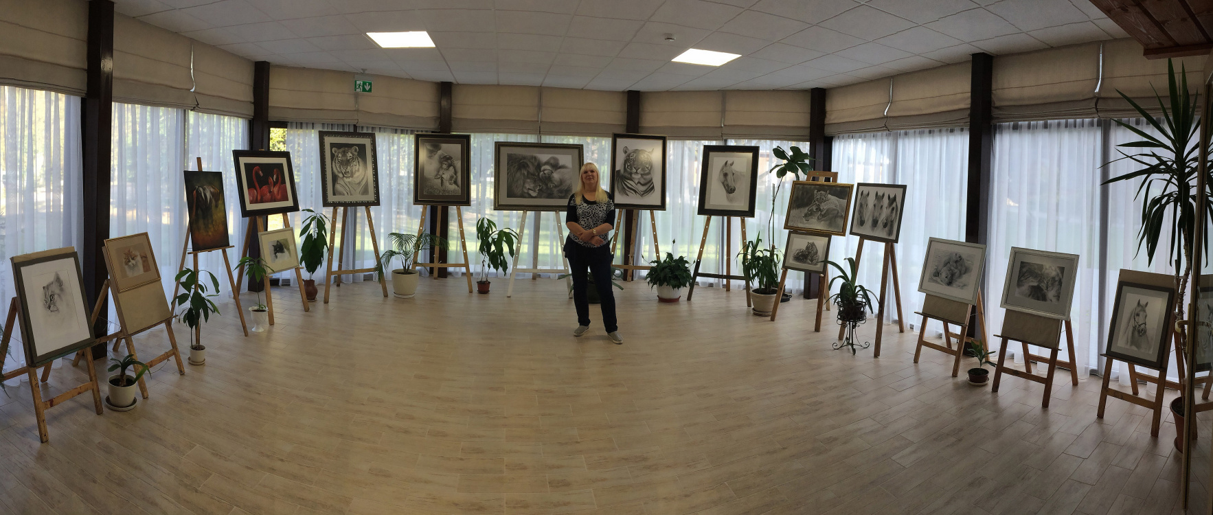 Solo exhibition