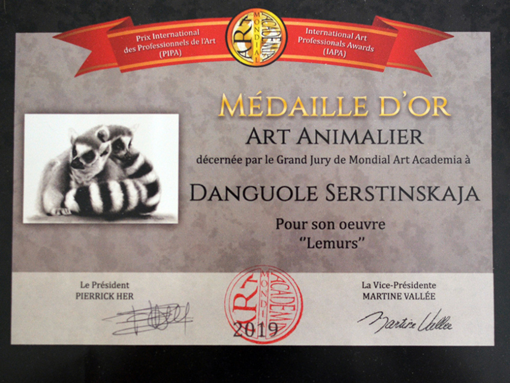 1st place Gold Medal (Mondial Art Academia France)
