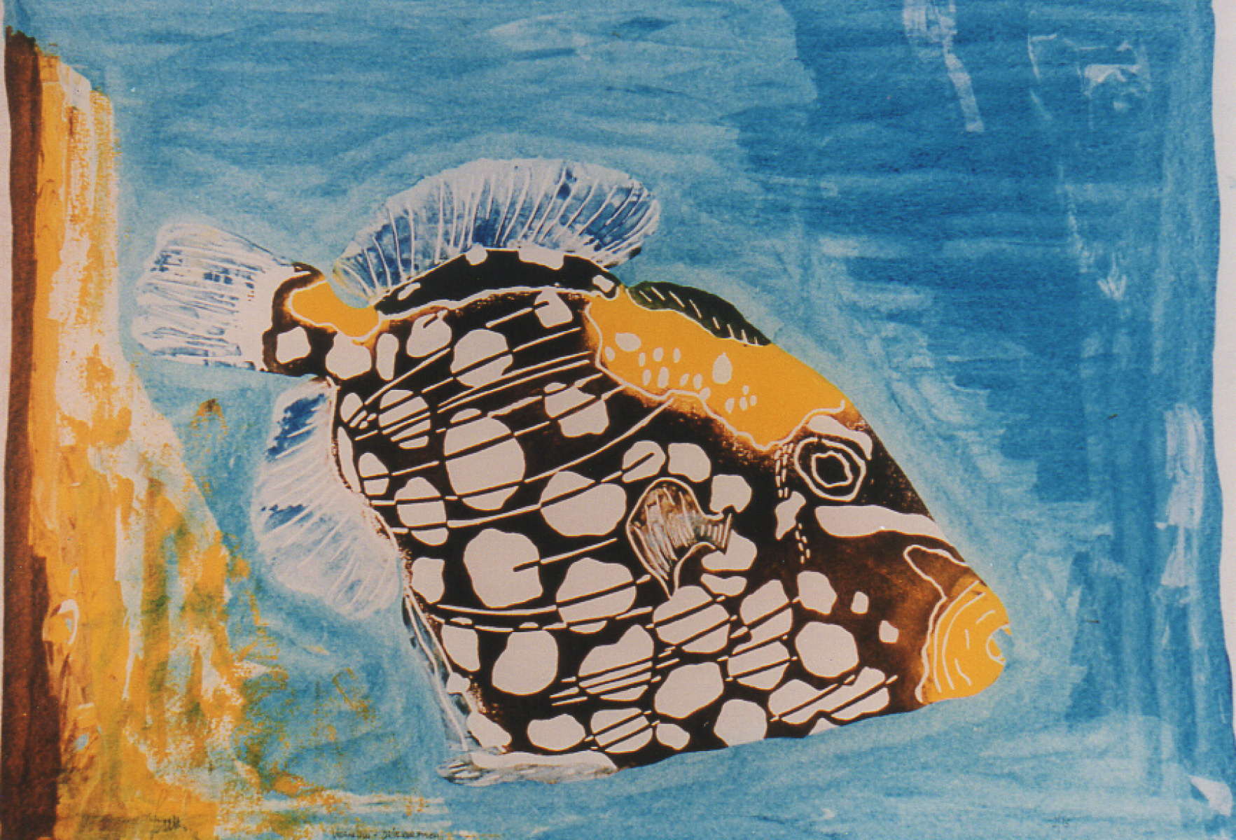 I 32 - Leopard Triggerfish