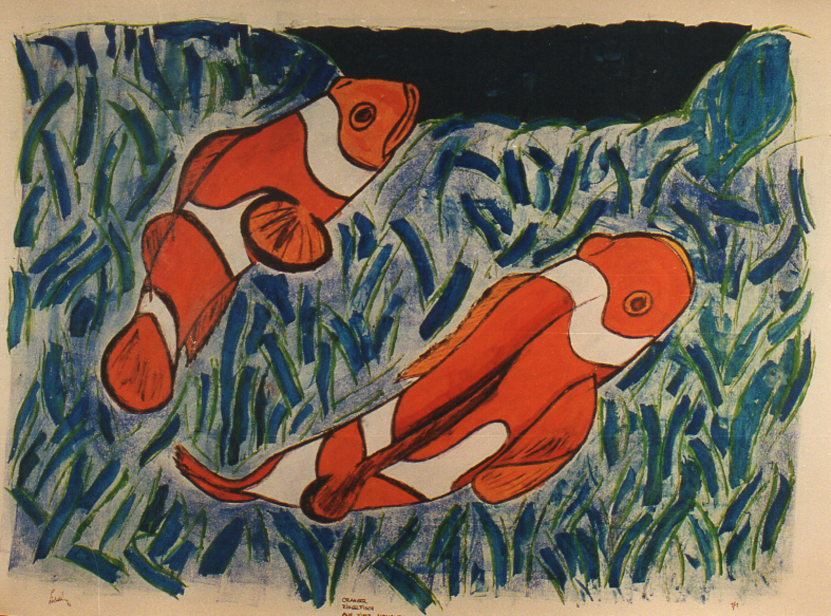 I 23 - Orange ocellaris clown fish