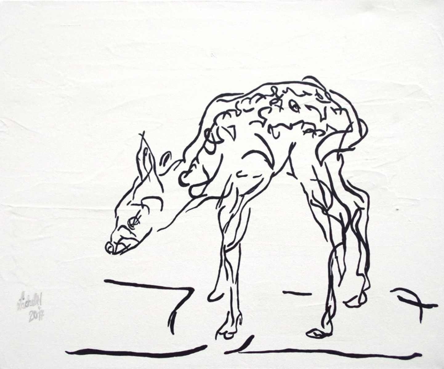 I 83 - Fawn