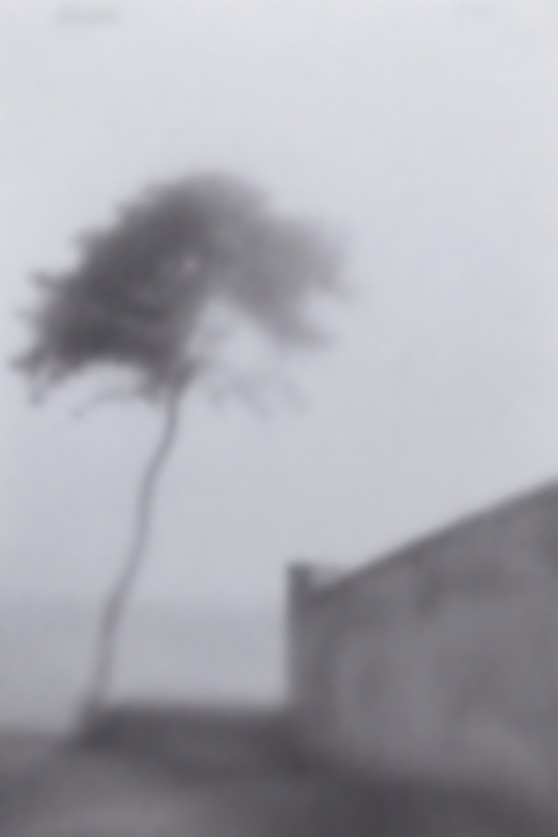 edge case (tree-like)