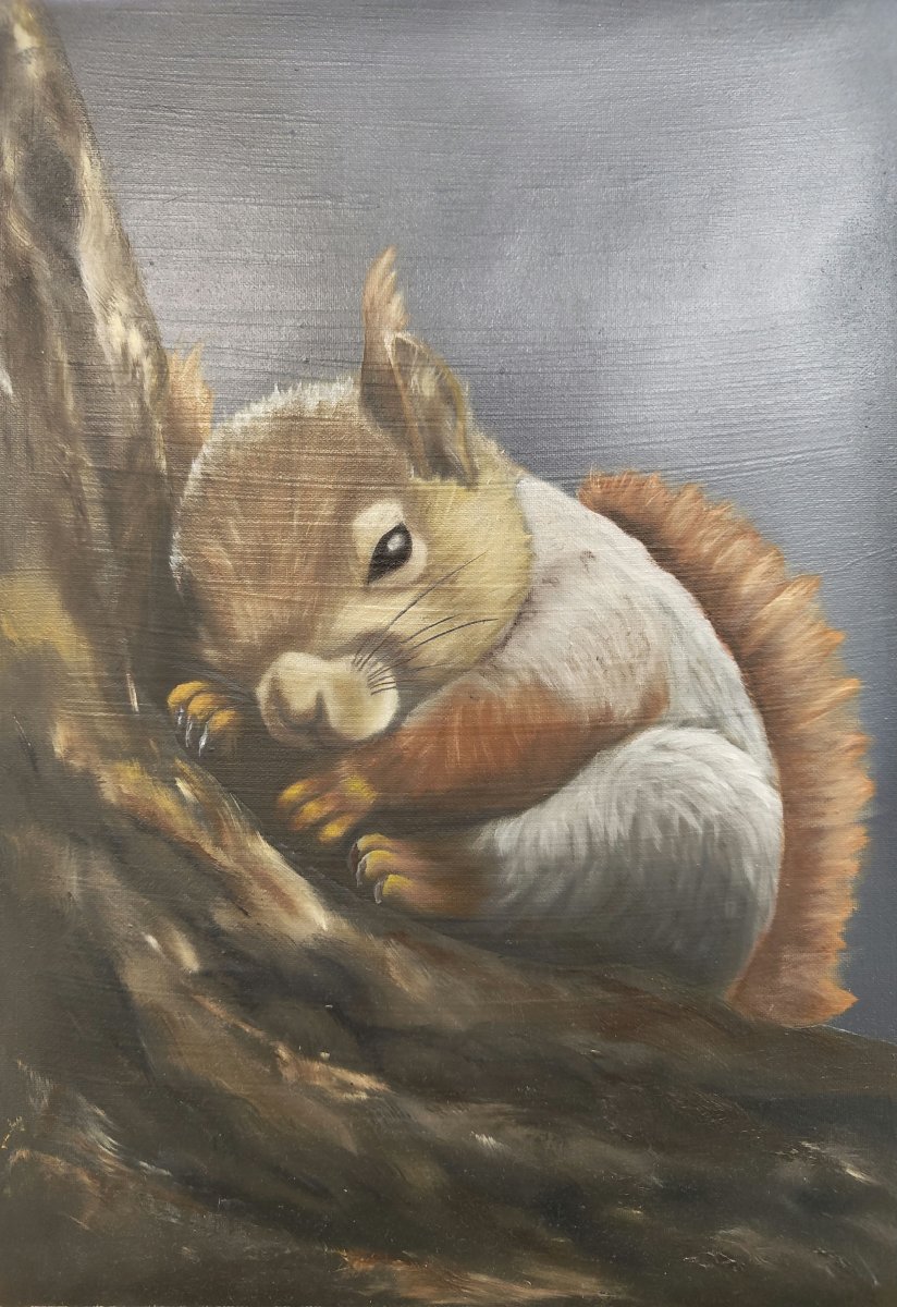 The sleeping baby squirrel