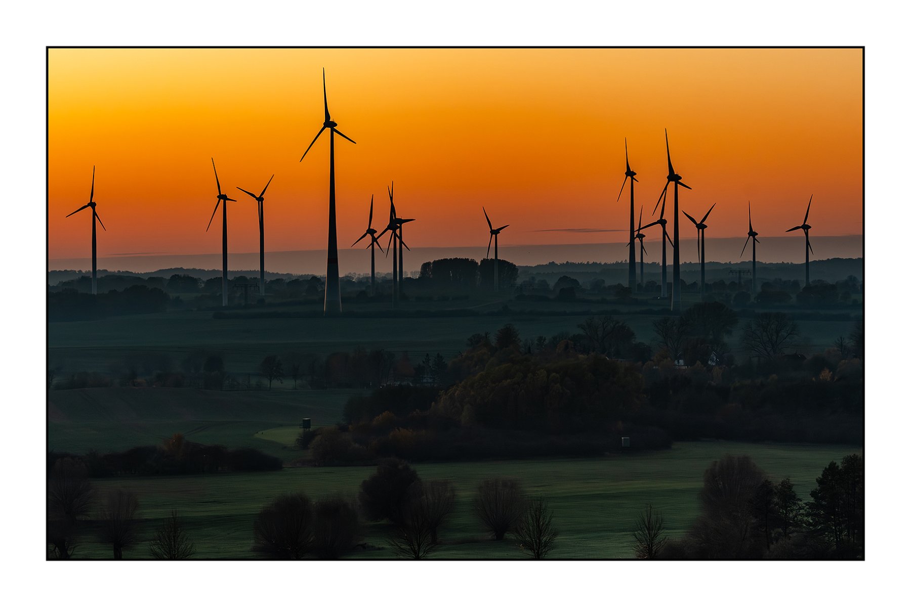 Windmills in the golden hour #0311