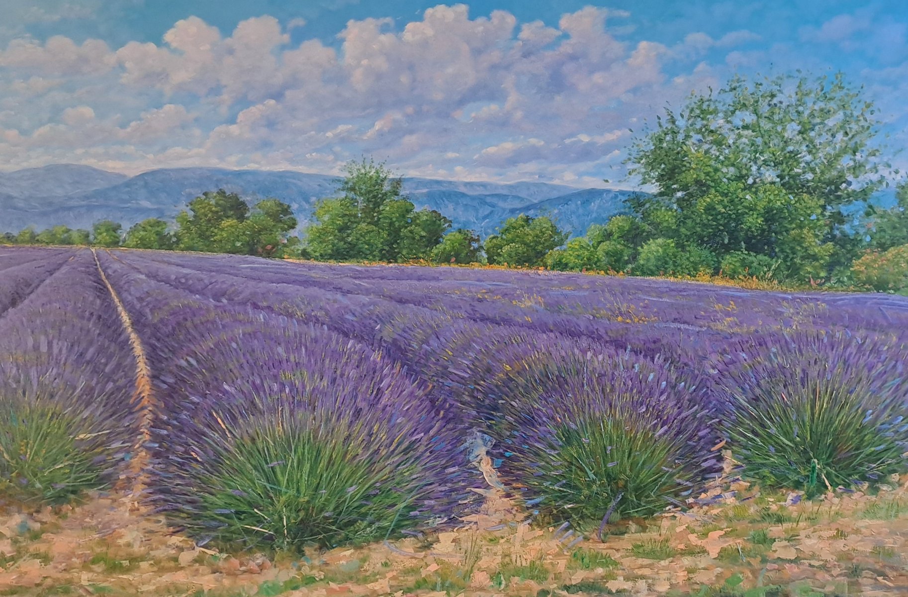 Provence