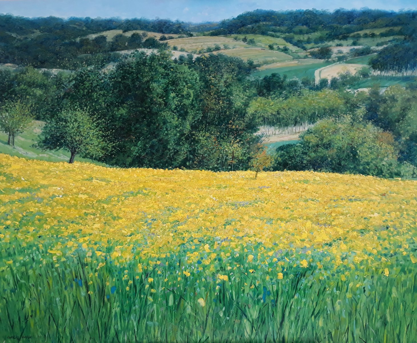 Rapeseed field in Tuscany