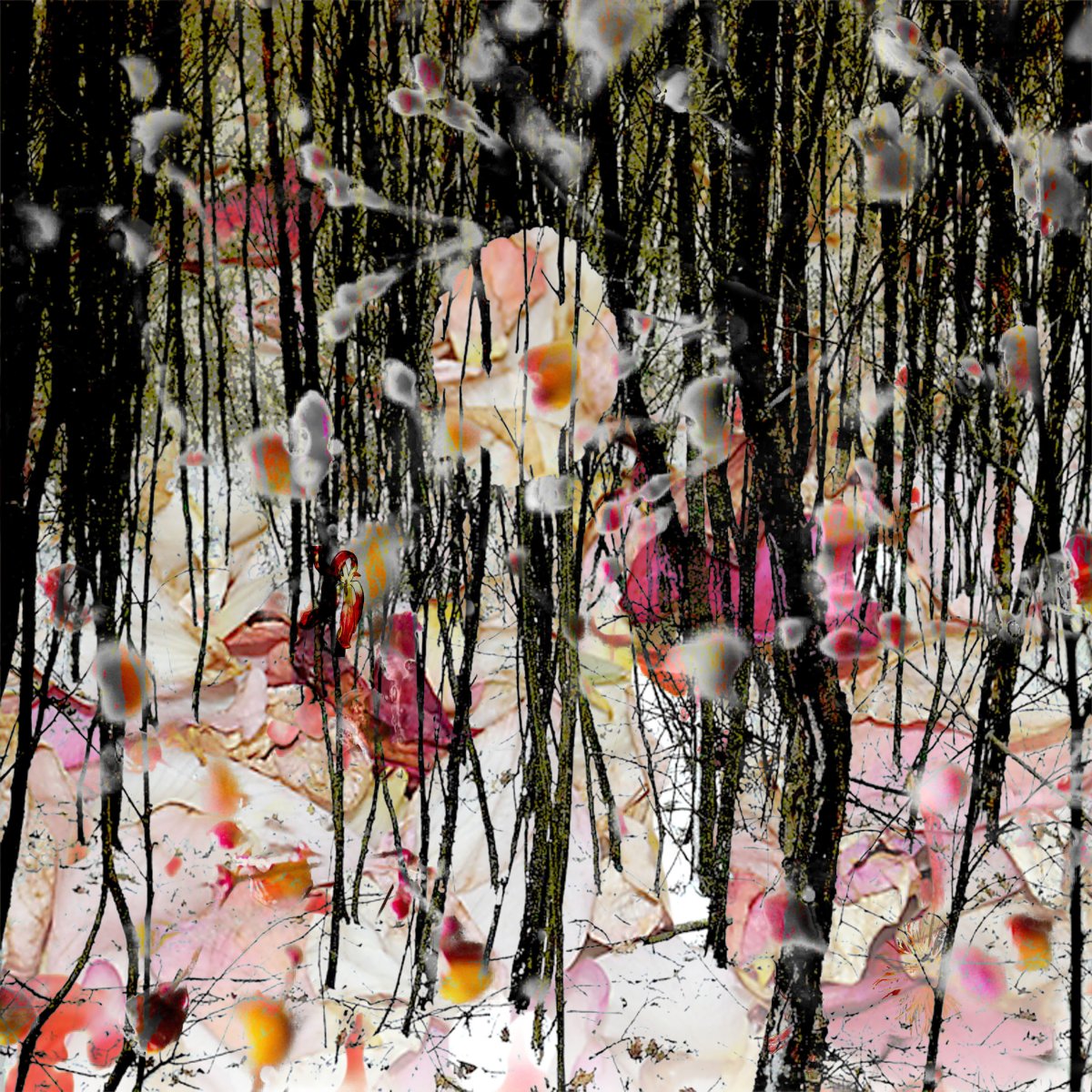 A new archeology opus 9