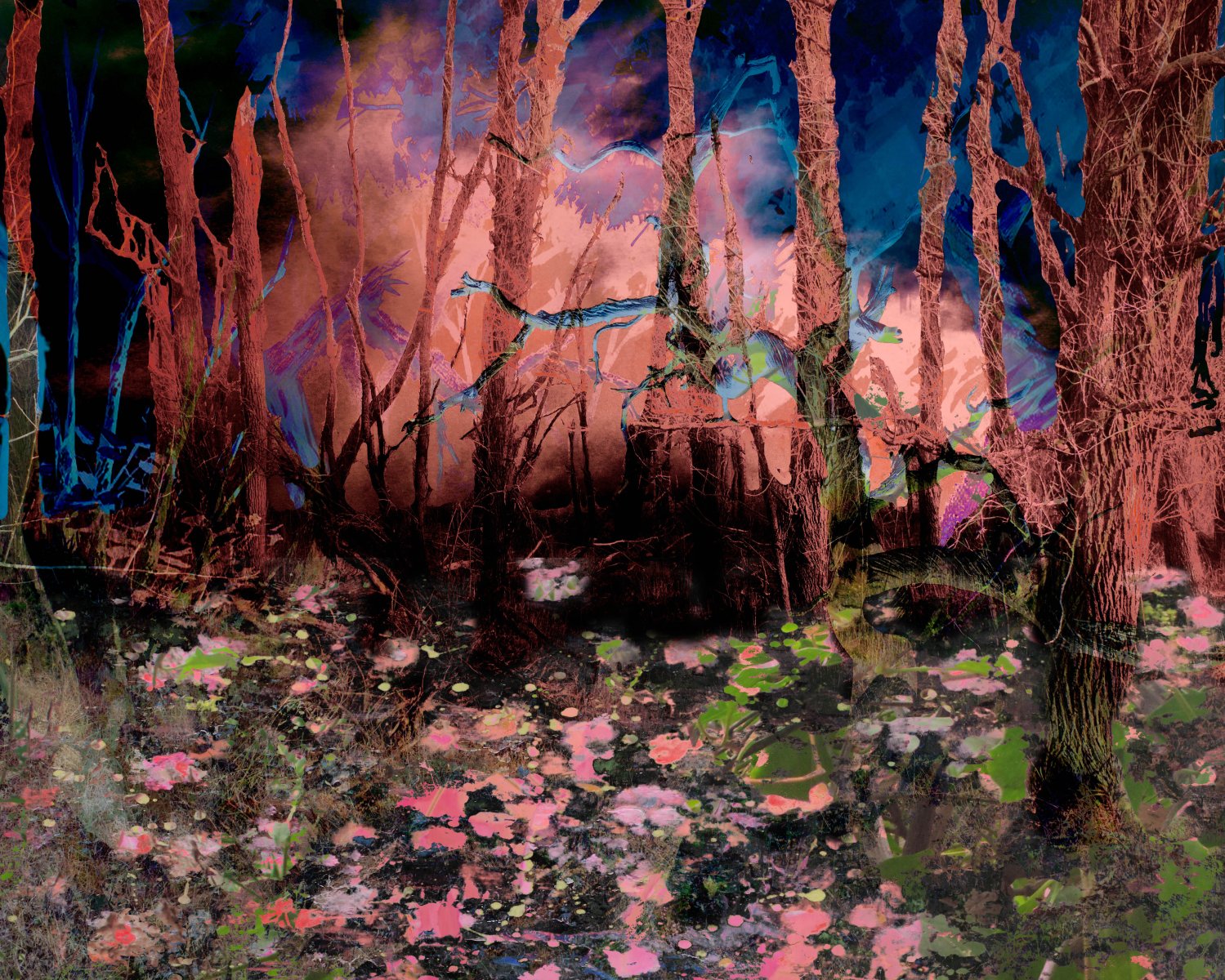 Liberation of the mind 243 2