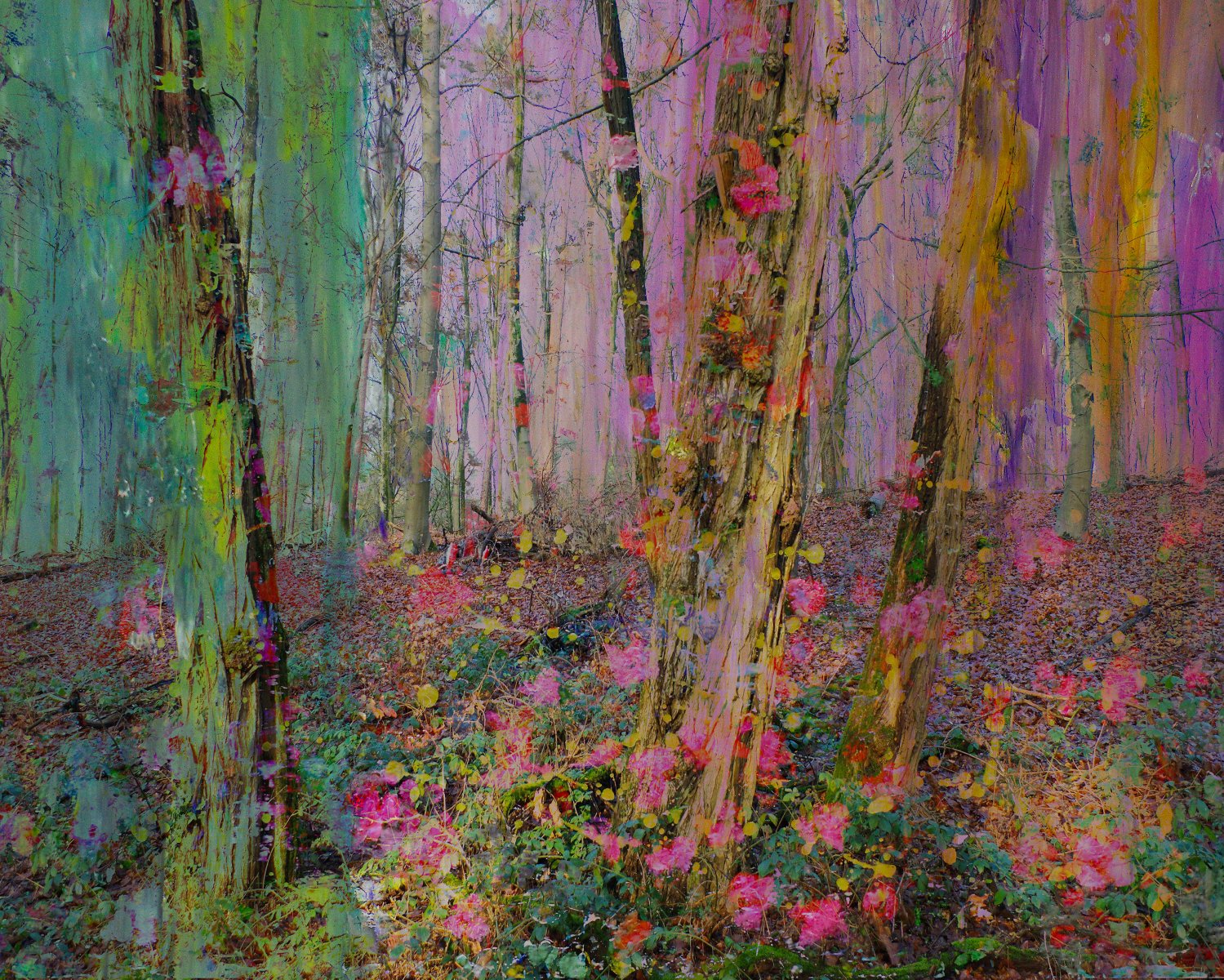 Magical nature opus 90