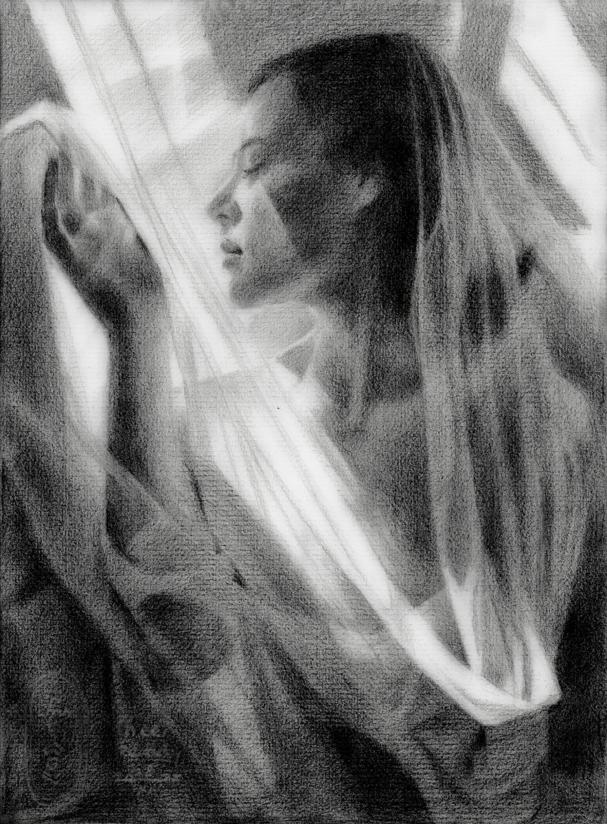 Sheer Beauty - 28-11-25