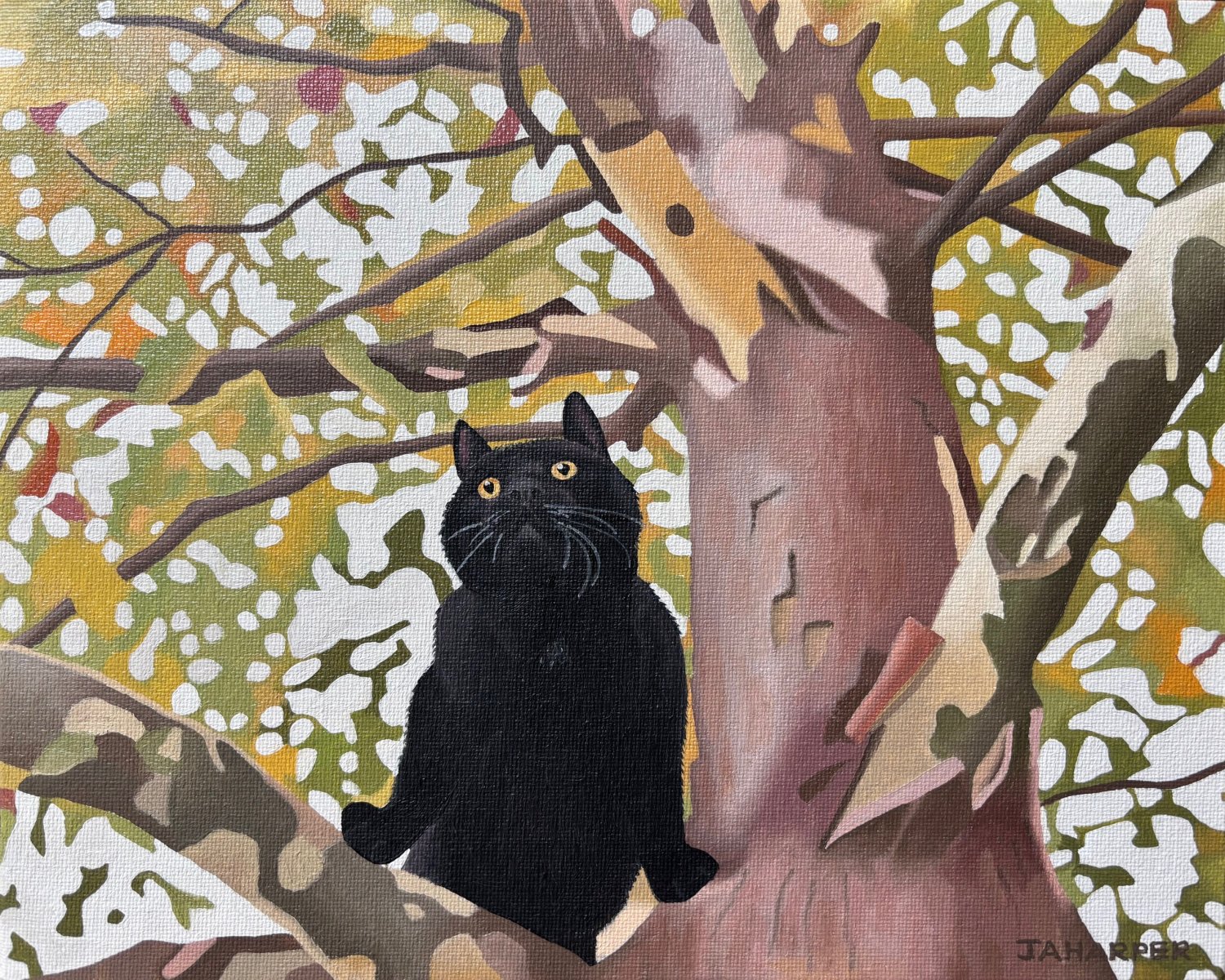 Cat In The Tree