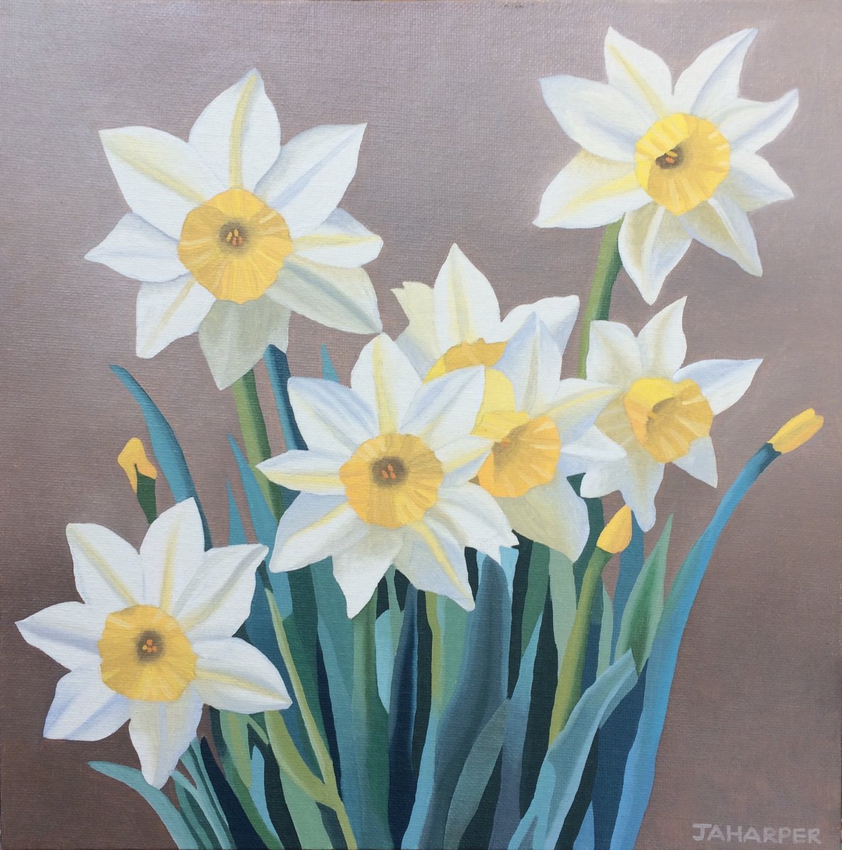 Spring Daffodils