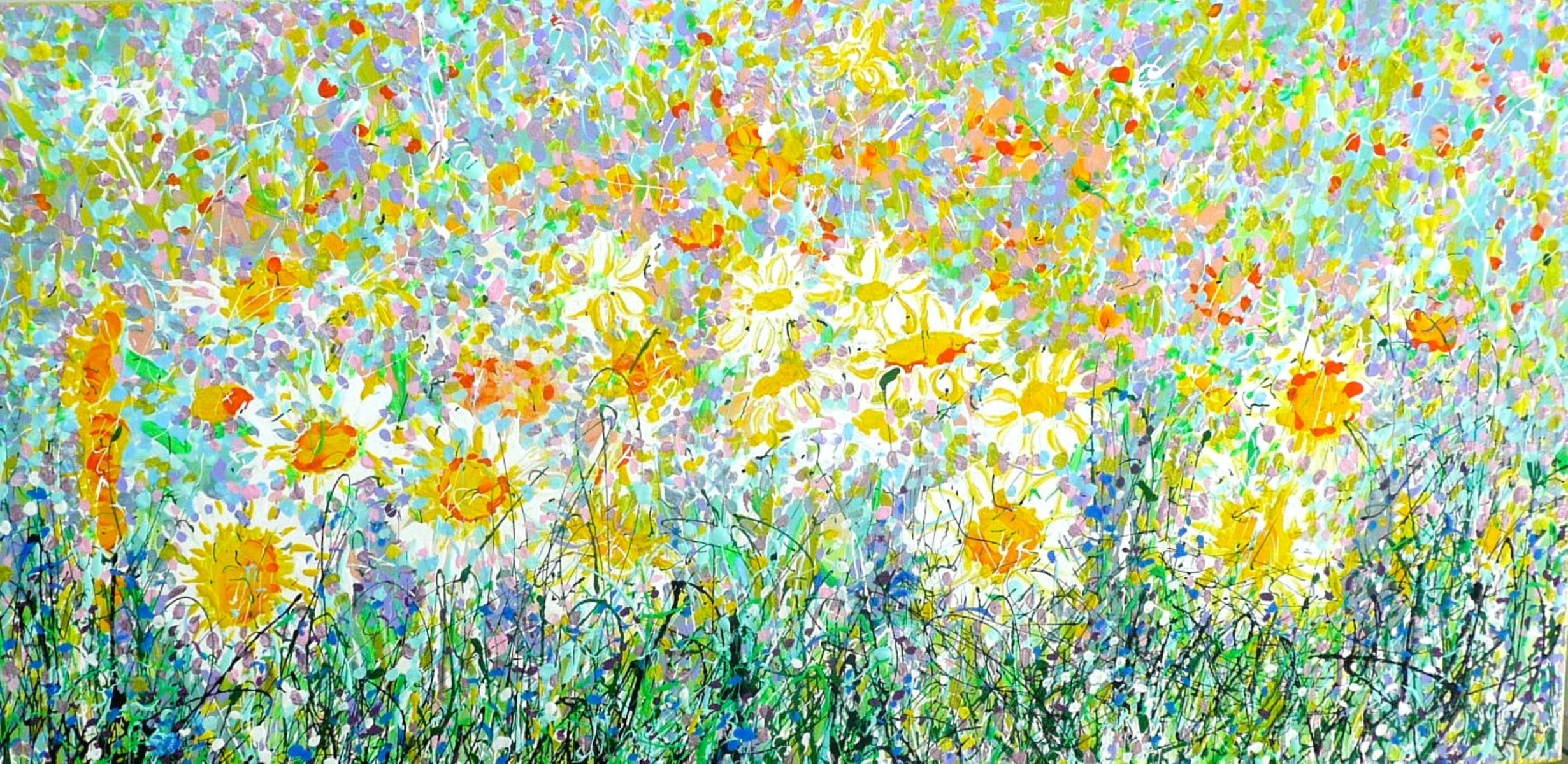 Wild Daisy Meadow