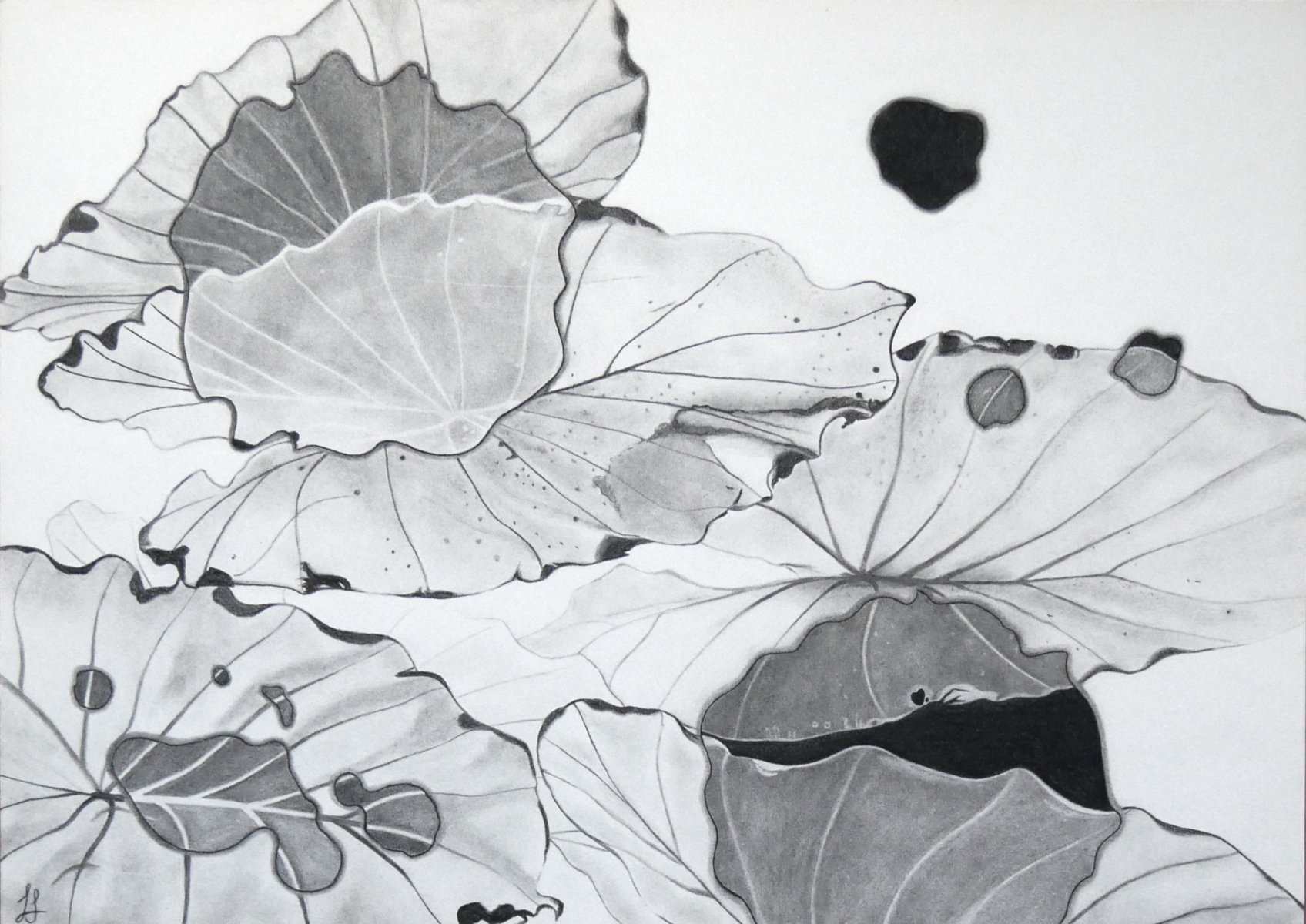 Leaves and Drops of Philodendron