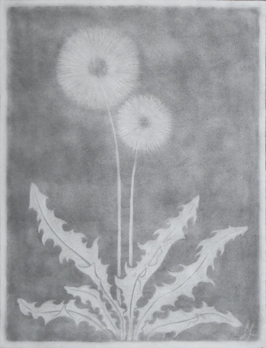 A Breath of Transience