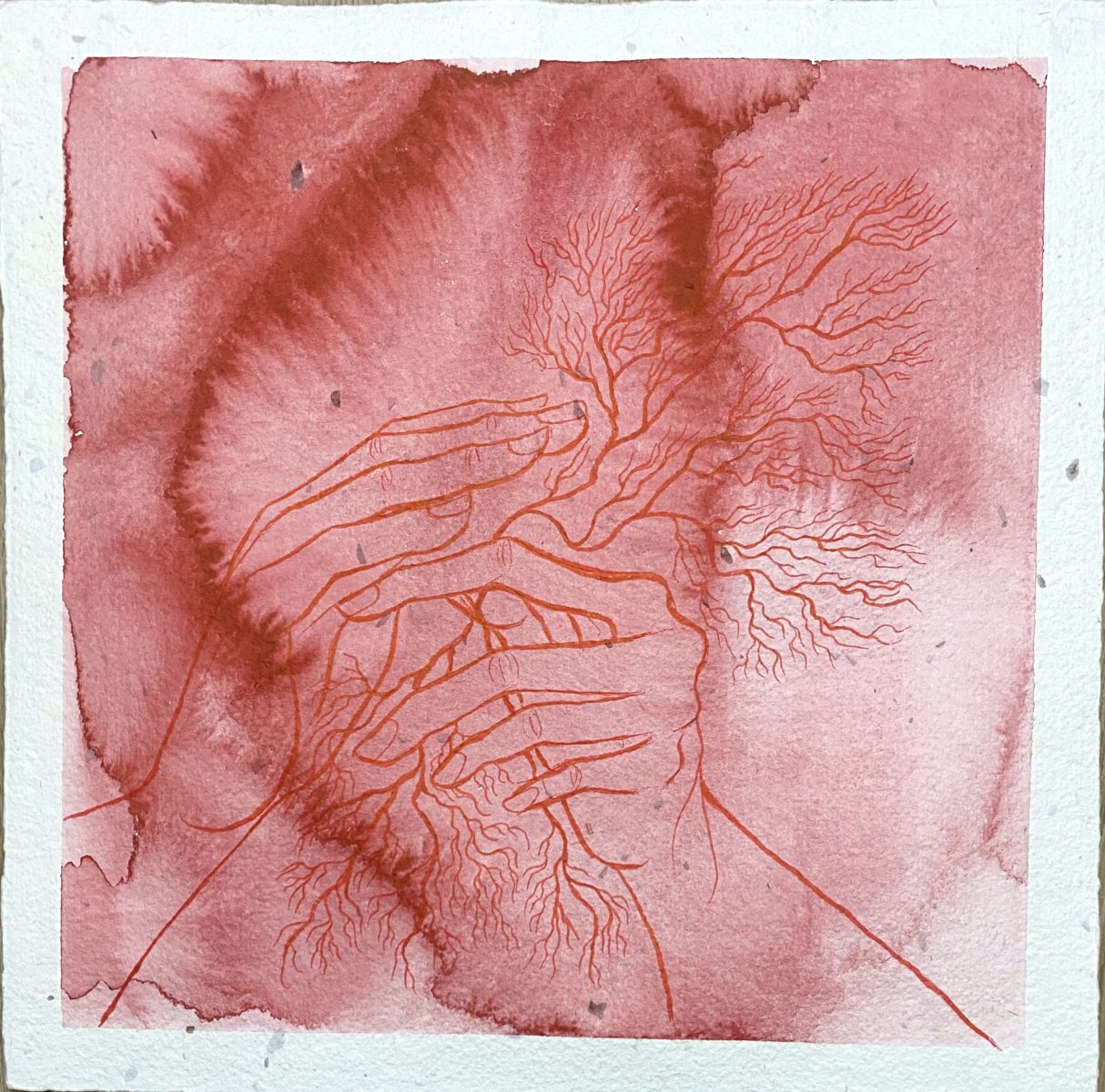 Corals in Your Hands