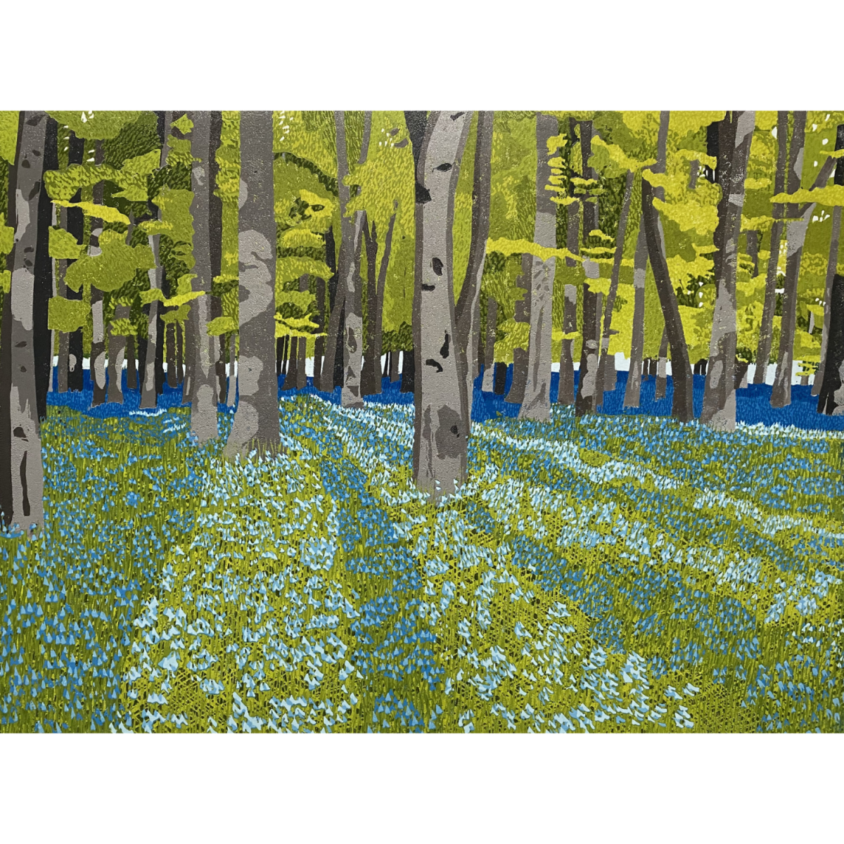 Bluebell; Woods