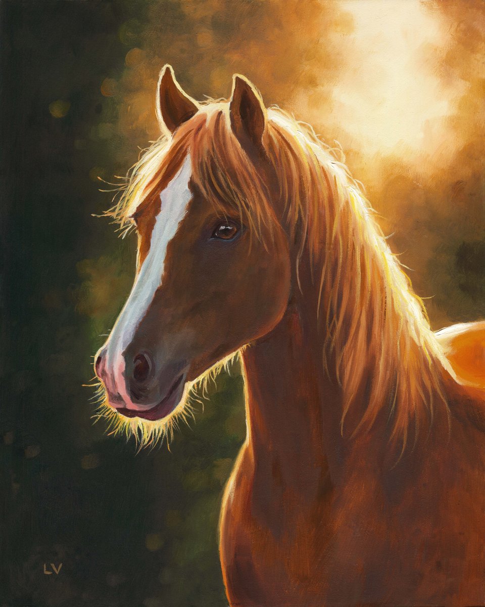 Brown horse portrait at sunset