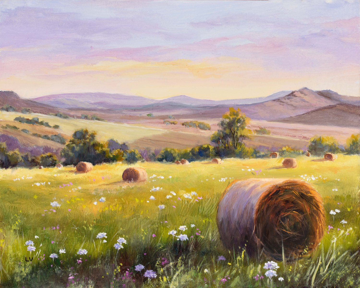 Hay bales in a field of flowers