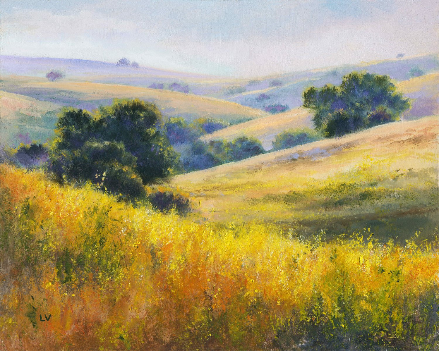 Sunny hills with yellow flowers