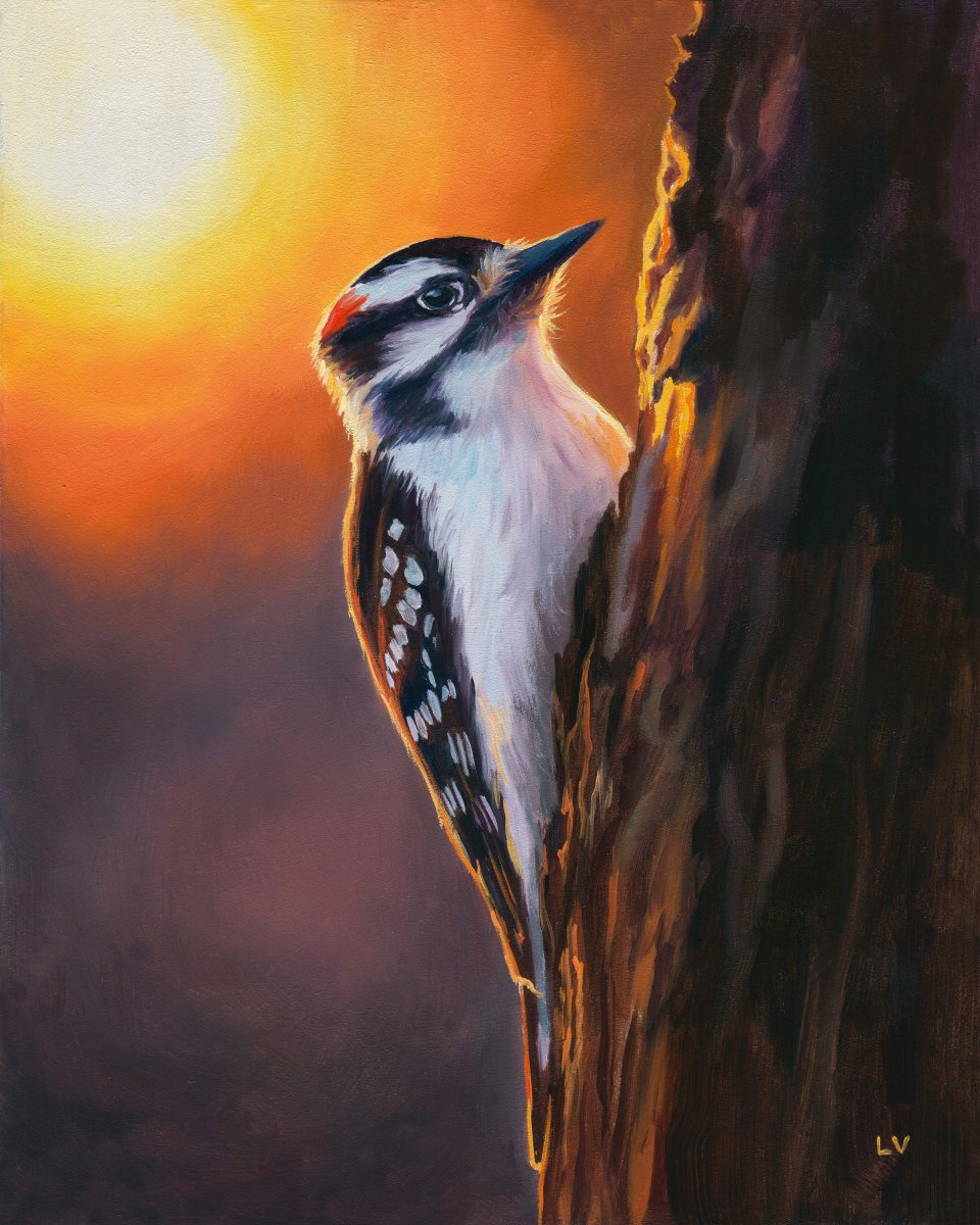 Downy woodpecker on a trunk