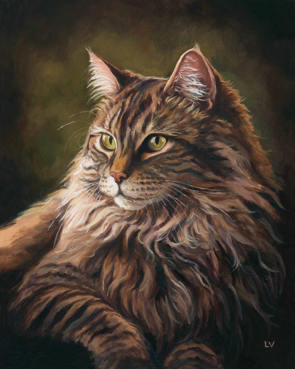 Maine Coon cat with green eyes