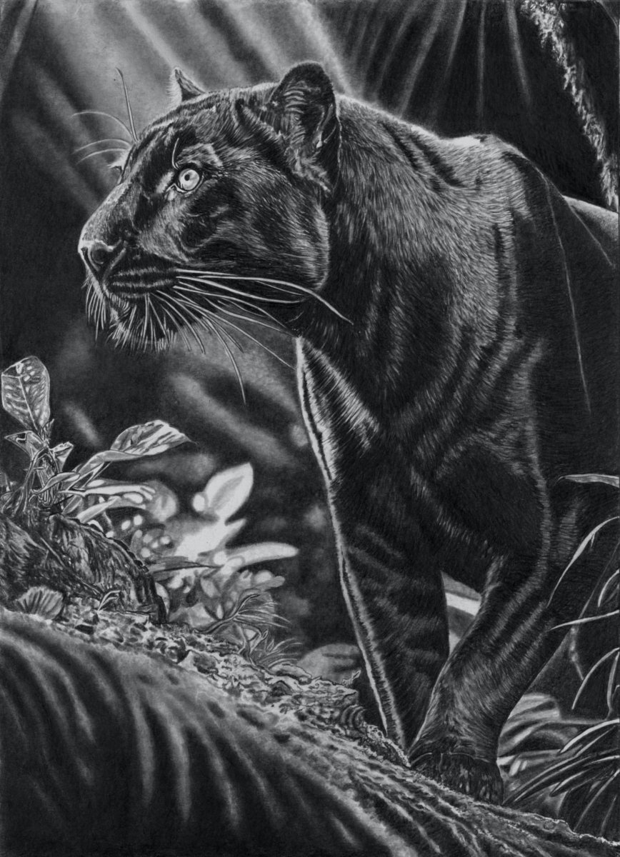 Black Jaguar (Black Panther)