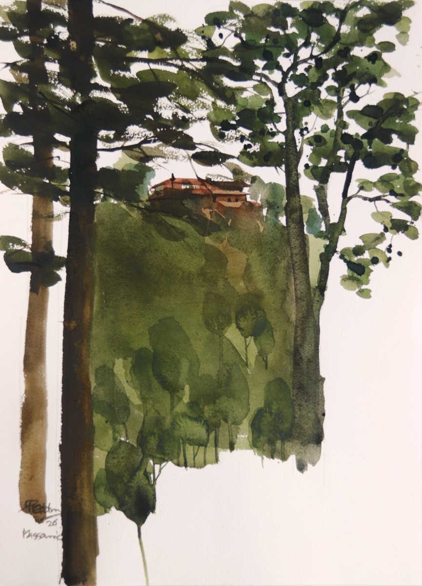 Through the trees, house on the hills