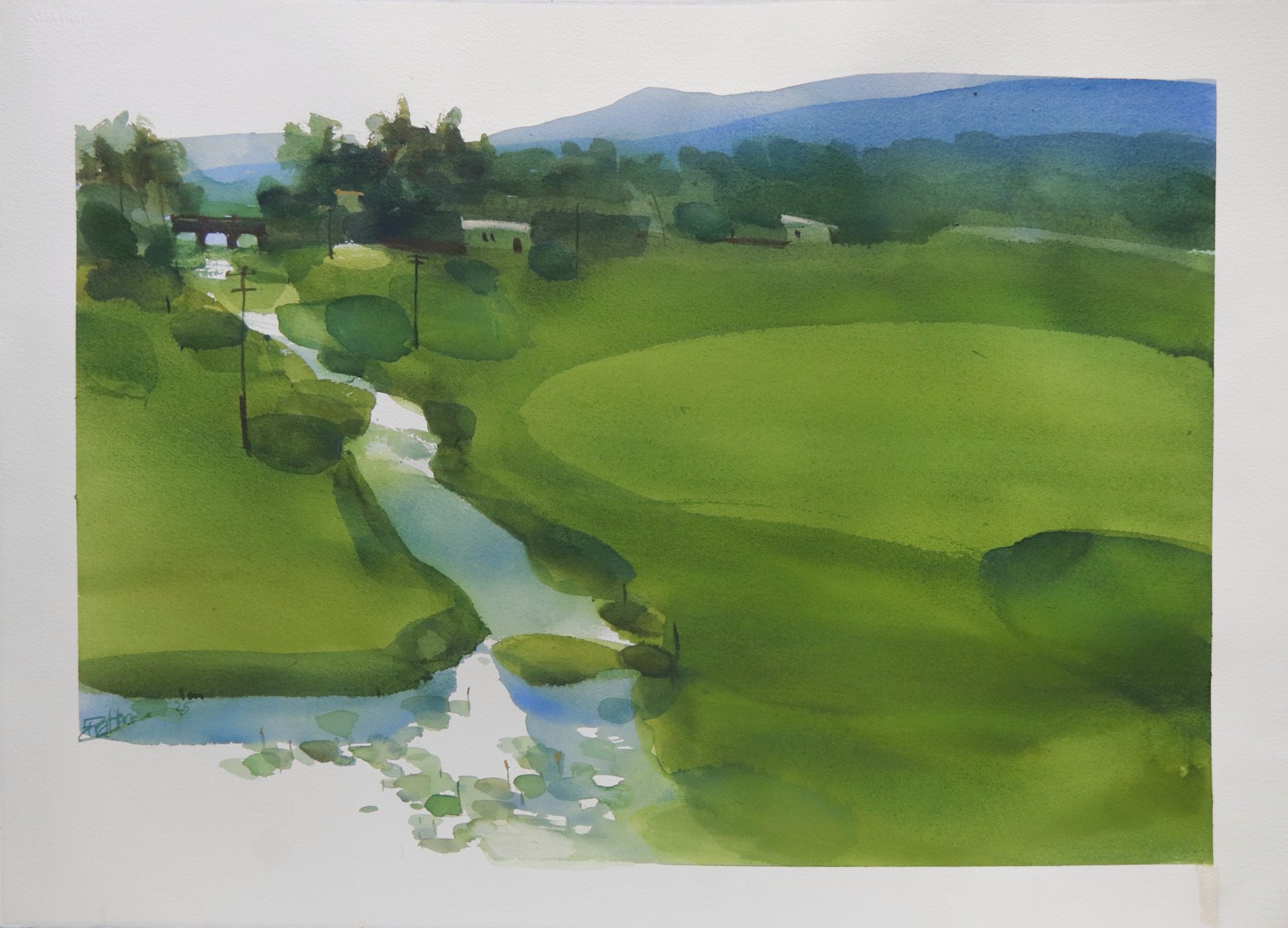 Boundless greens in Kerala