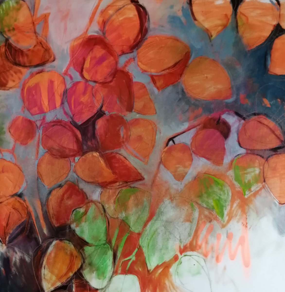 Physalis