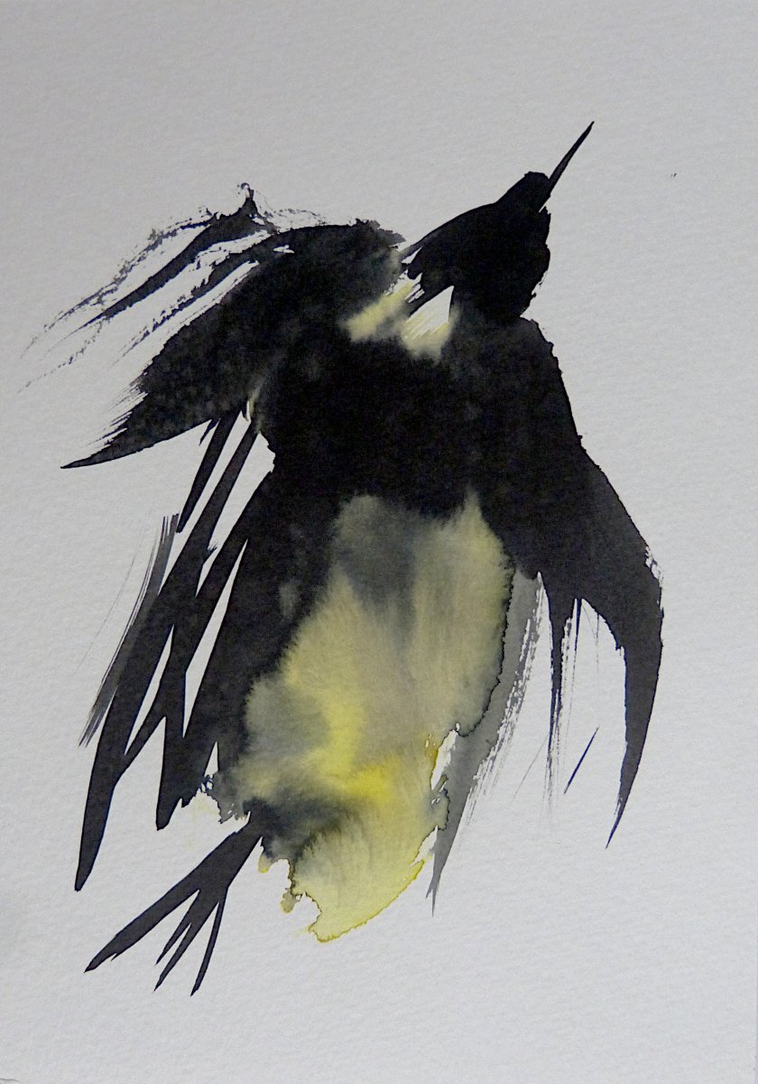 The Birds of Côte d'Azur - 1