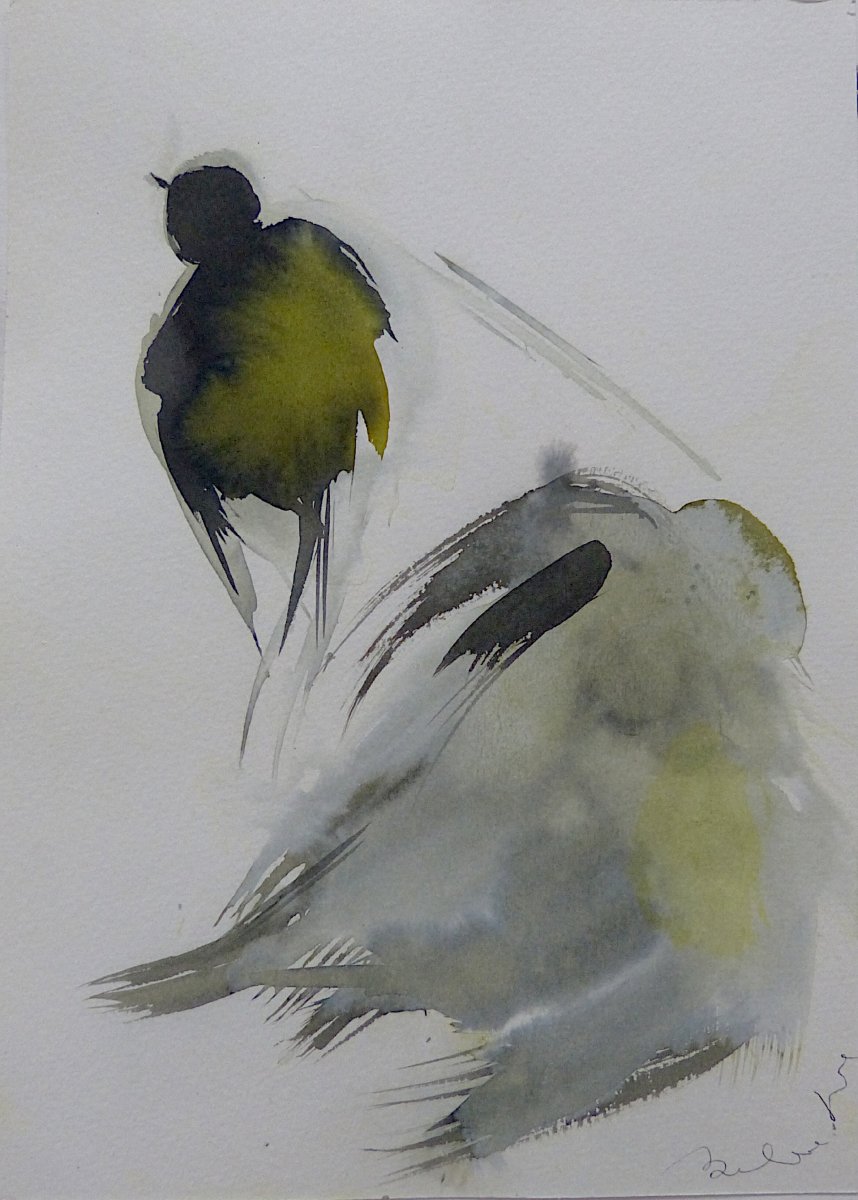 The Birds of Côte d'Azur - 3