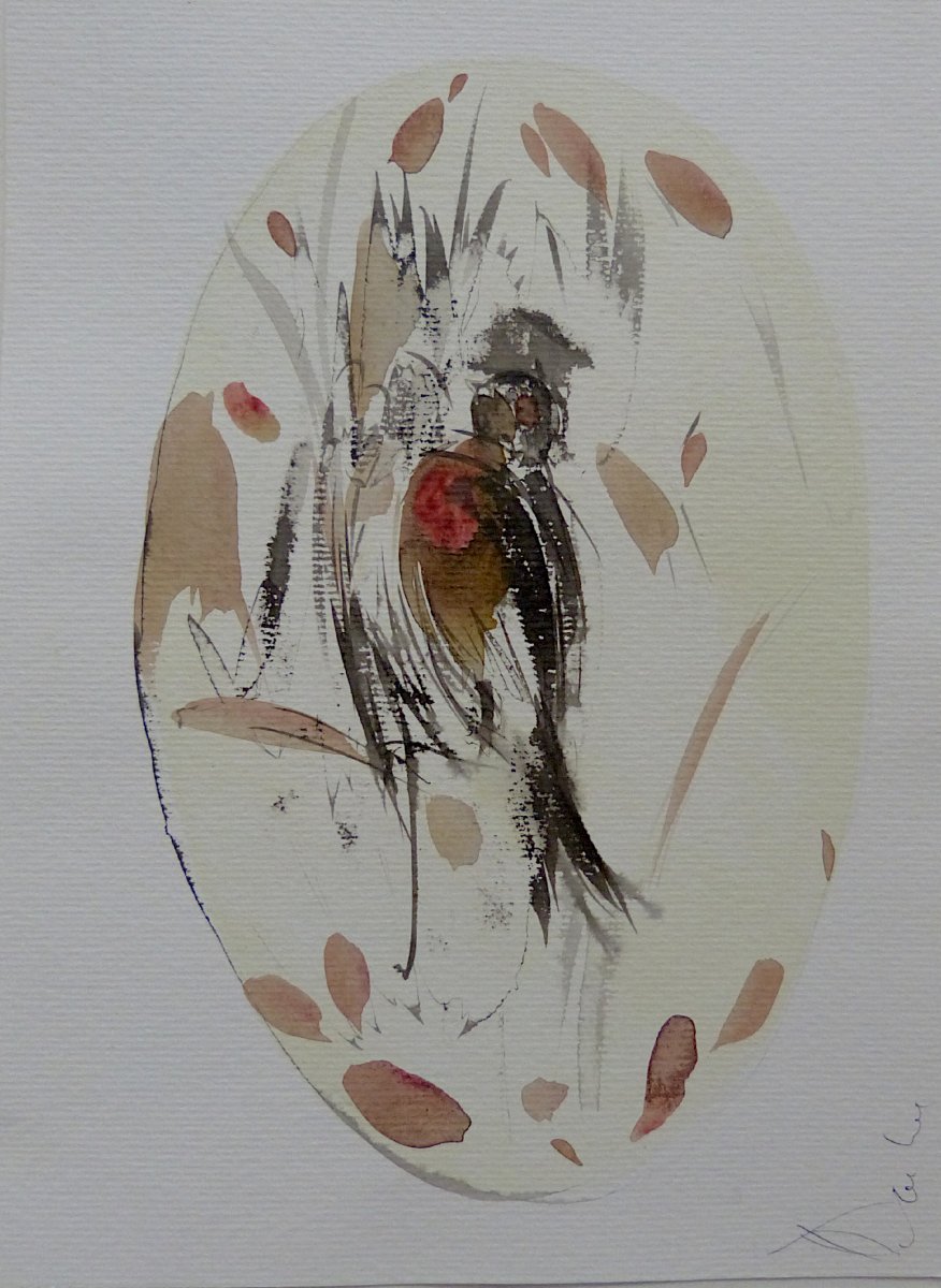 The Birds of Côte d'Azur - 4