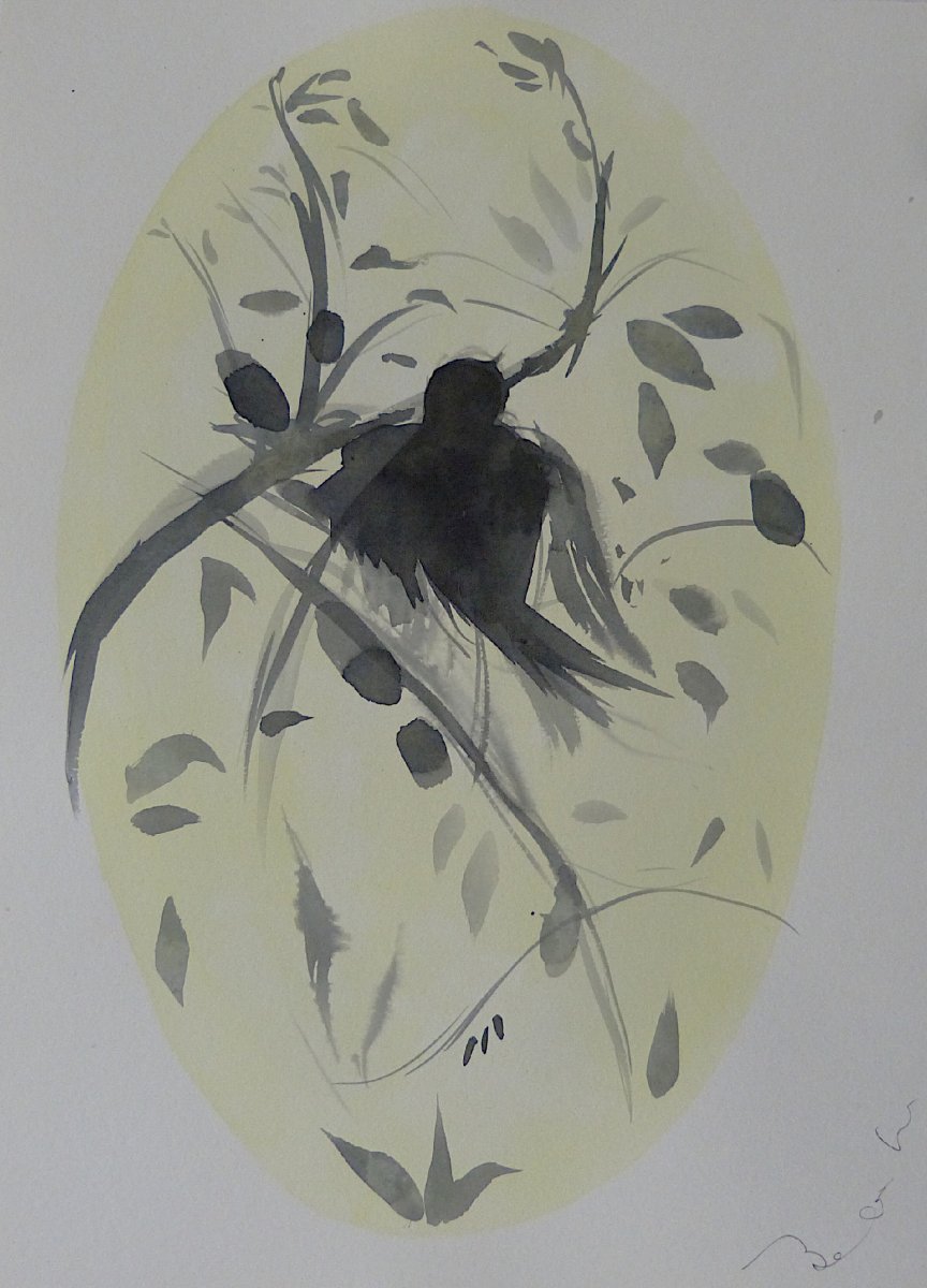The Birds of Côte d'Azur - 5