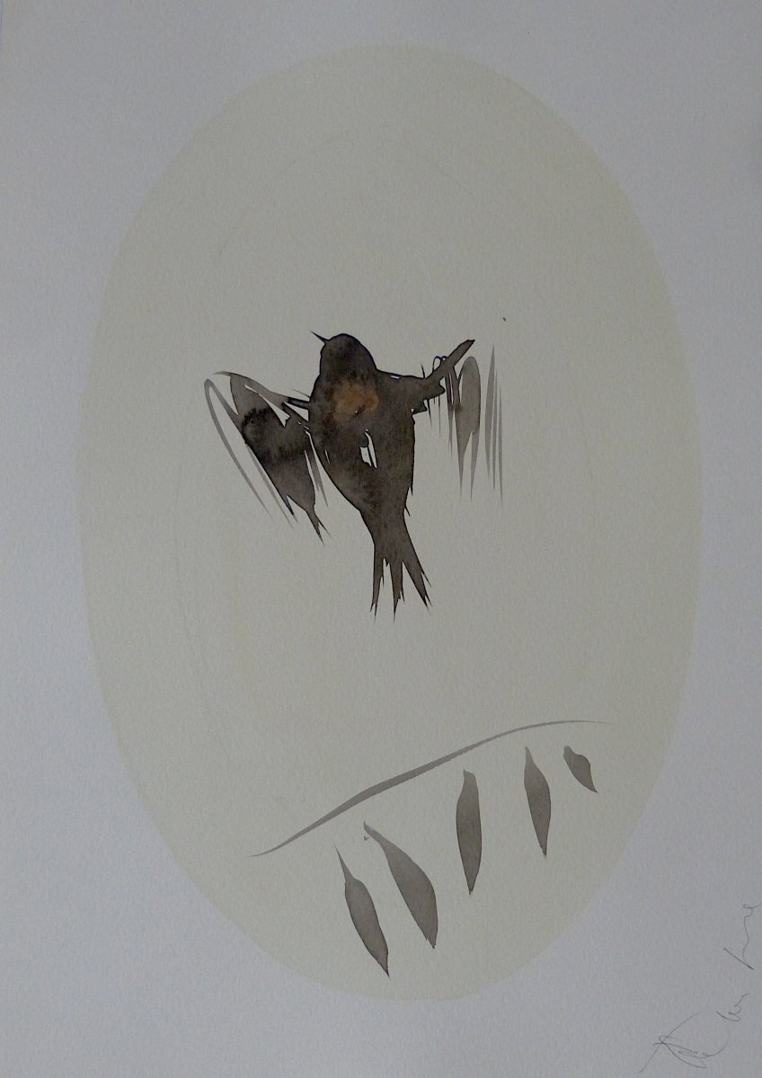 The Birds of Côte d'Azur - 8