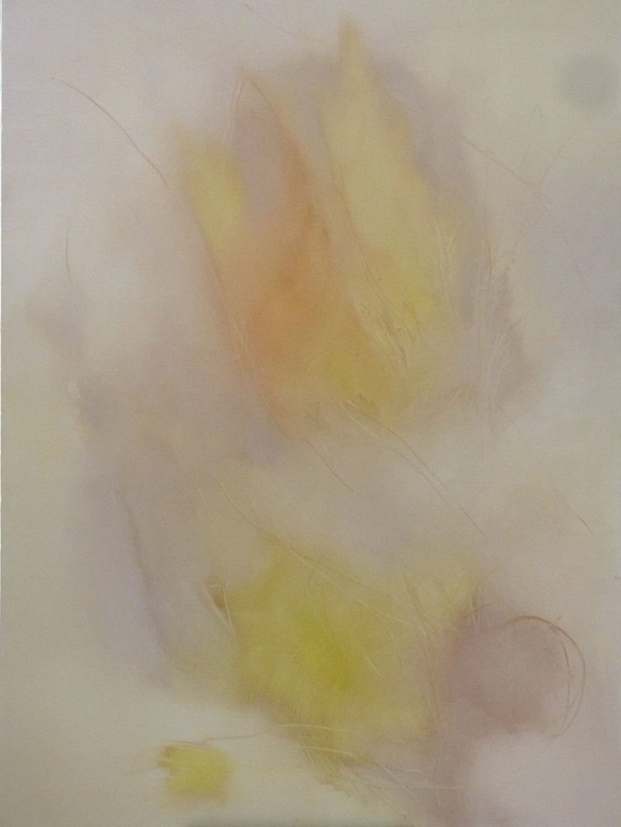 Lightness