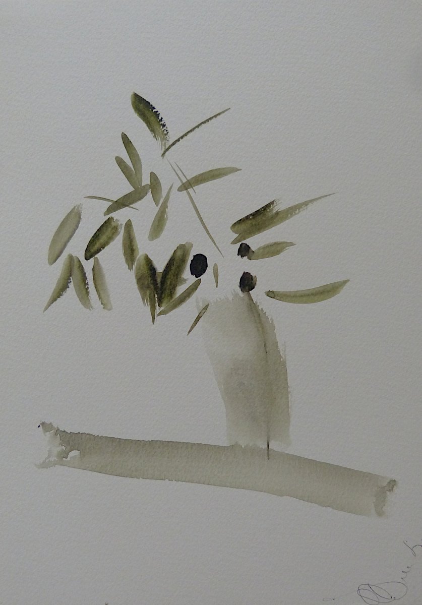 Still life: The olive branch