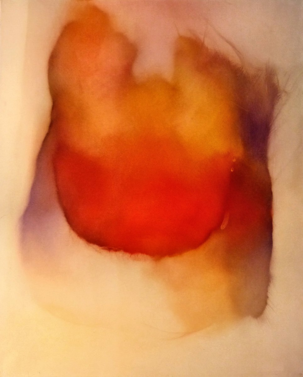 Oil on canvas #31