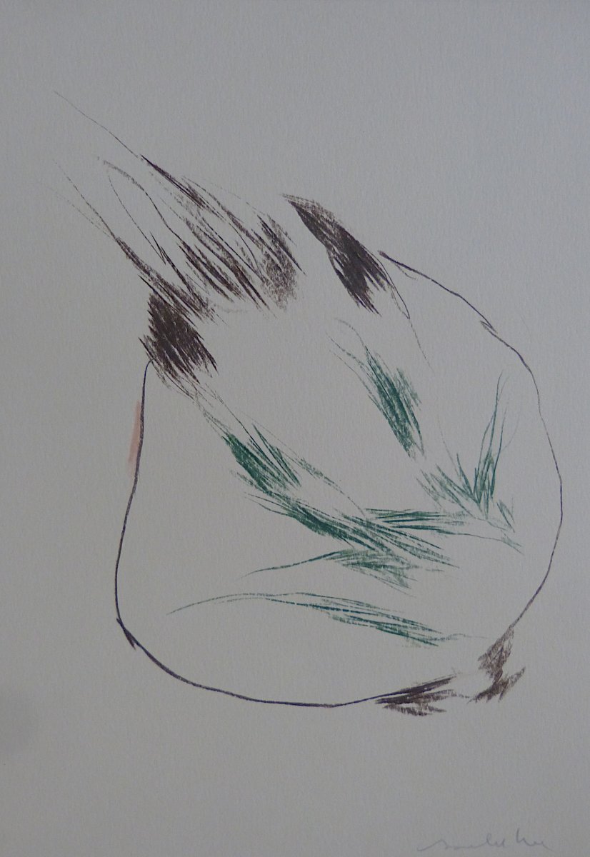 Vegetable faces - The onion head