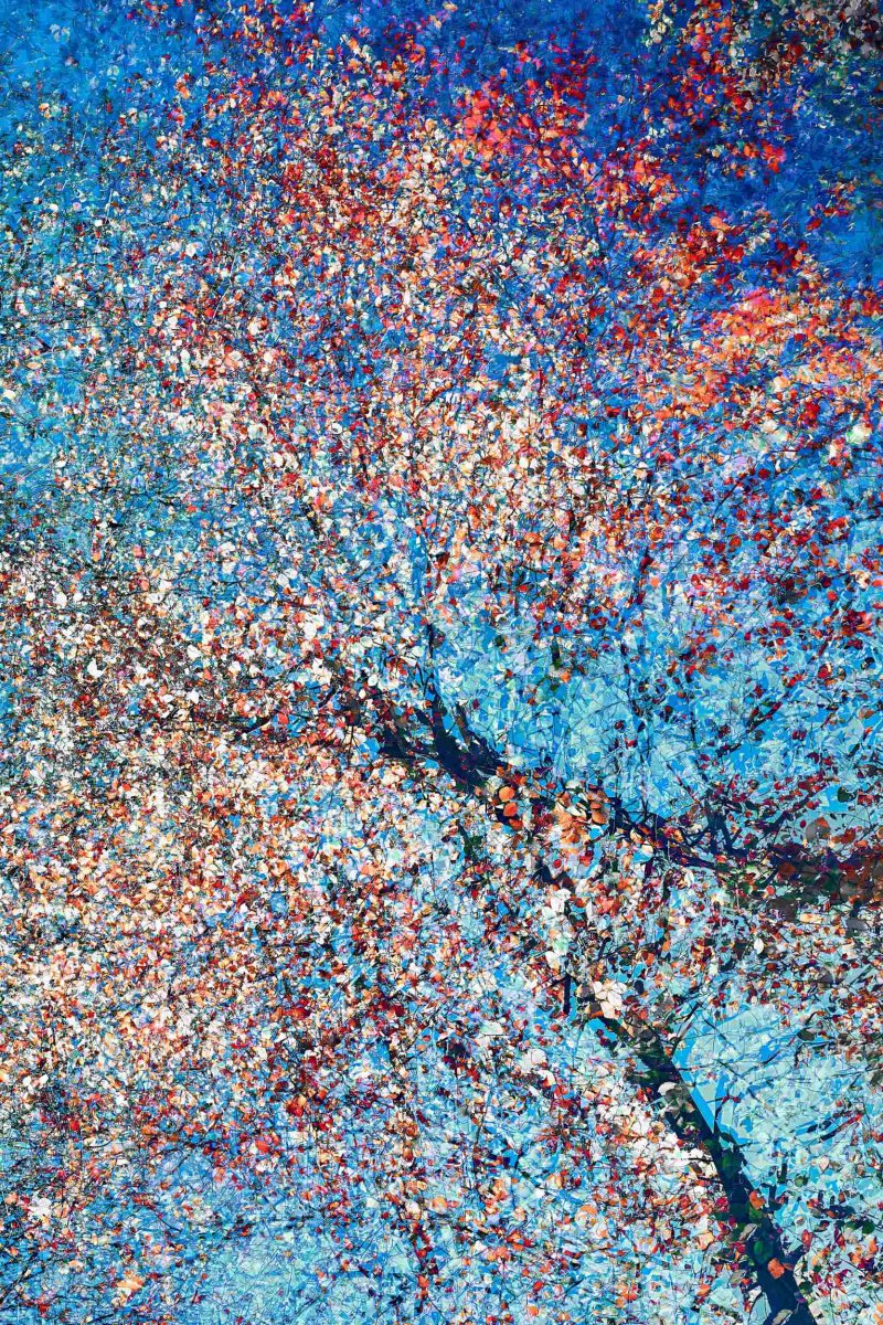 Series Ecstatic Energy, No. 3885