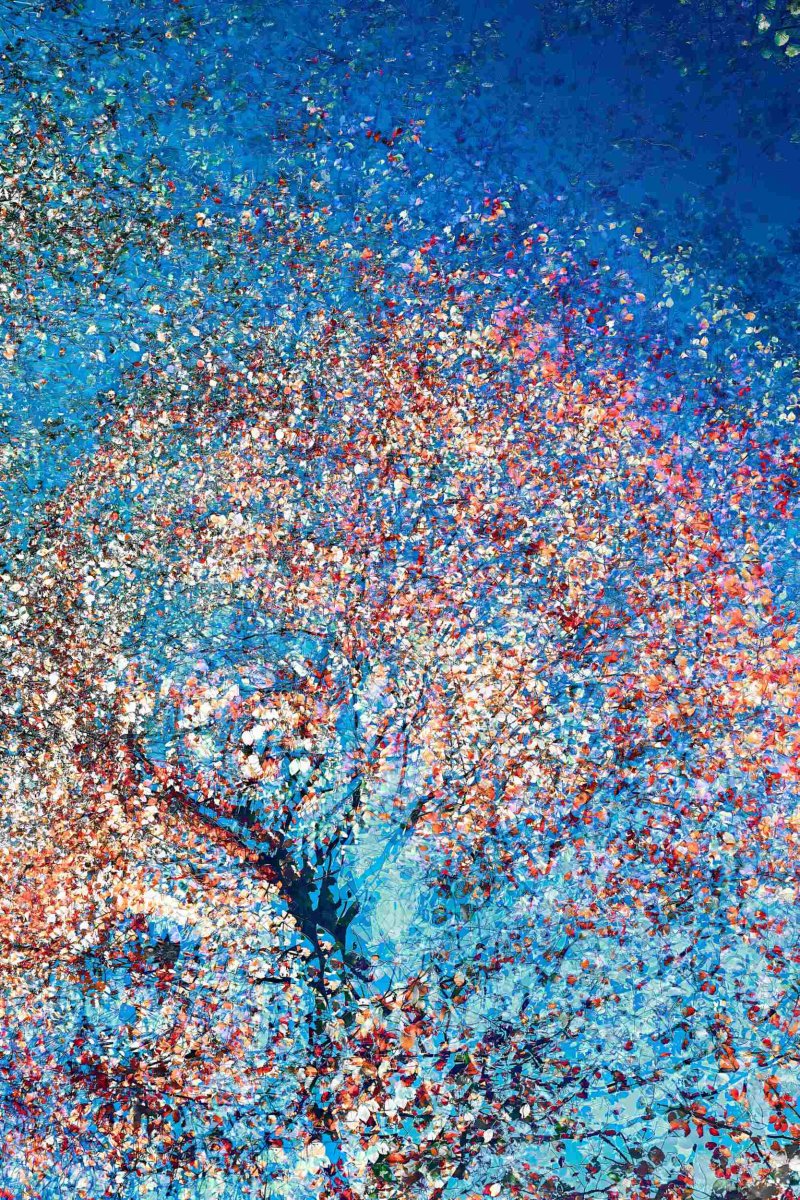 Series Ecstatic Energy, No. 3886