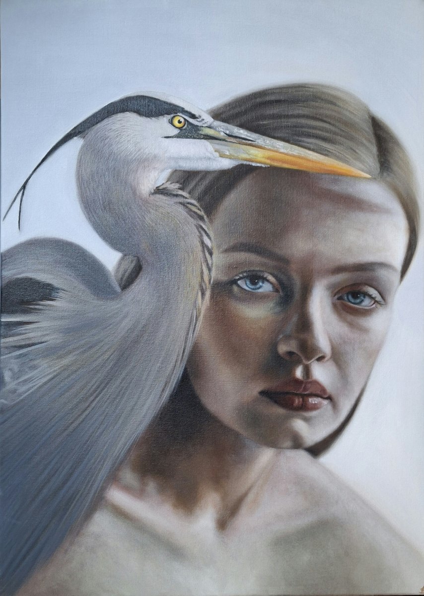 Grey Heron